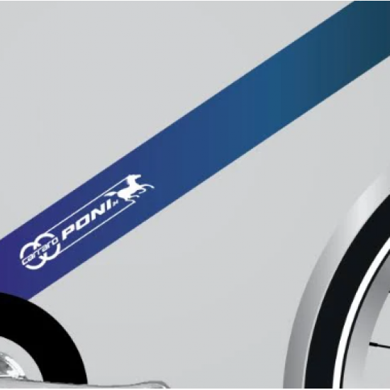 CARRARO PONI 24" HUB GEAR 3-V MAVİ-MOR-BEYAZ-BUKALEMUN ŞEHİR BİSİKLETİ